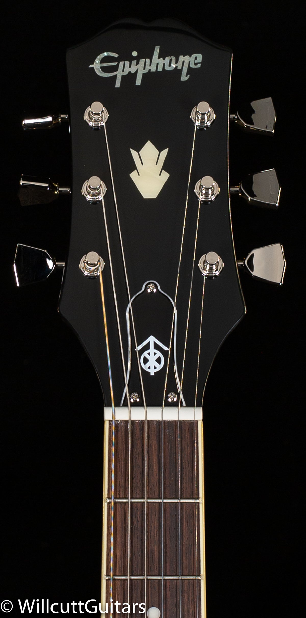 Epiphone Jim James ES-335 (184)