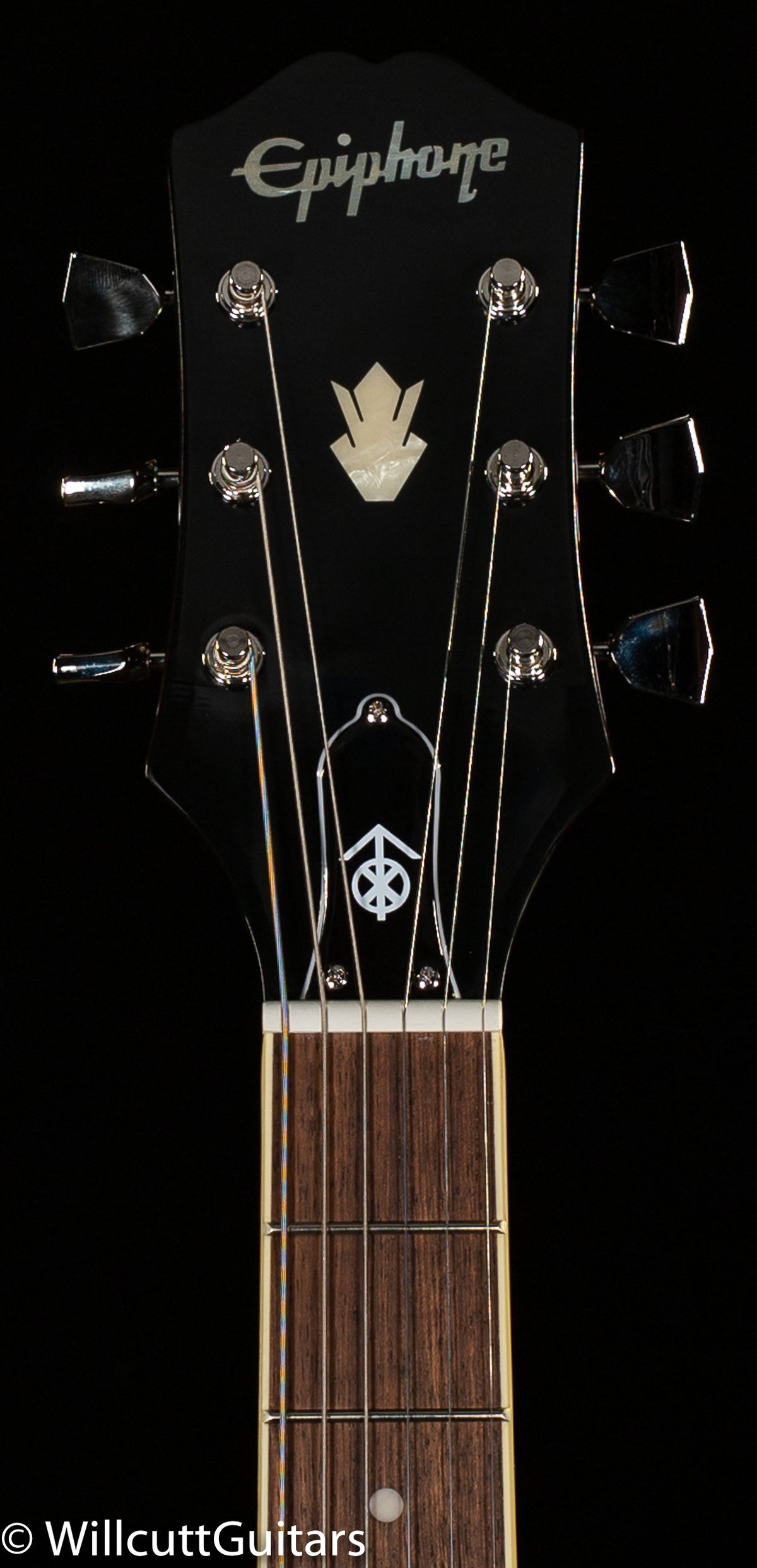 Epiphone Jim James ES-335 (812)