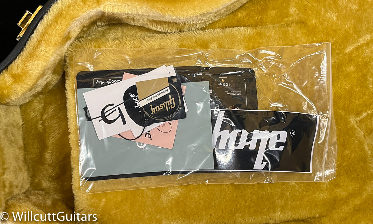 Epiphone Jim James ES-335 (812)