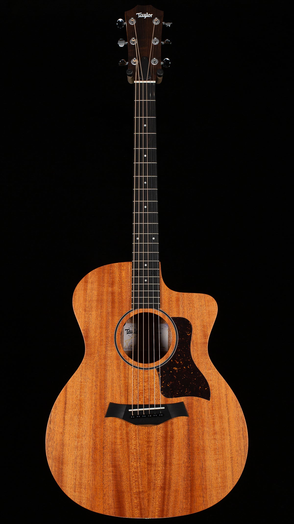 Taylor 24ce Sapele/Mahogany (299)