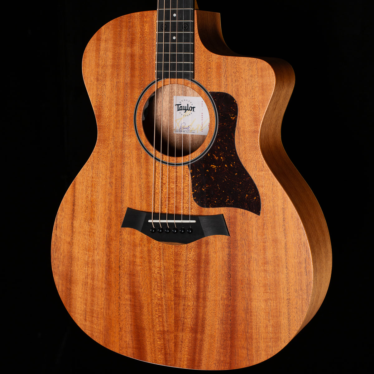 Taylor 24ce Sapele/Mahogany (299)
