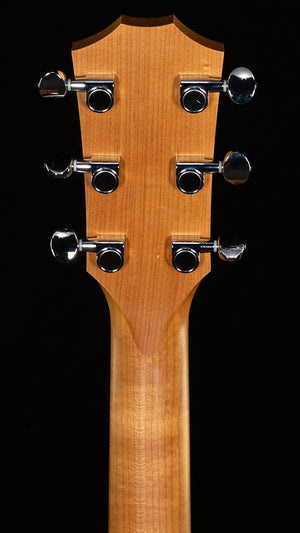 Taylor 24ce Sapele/Mahogany (299)