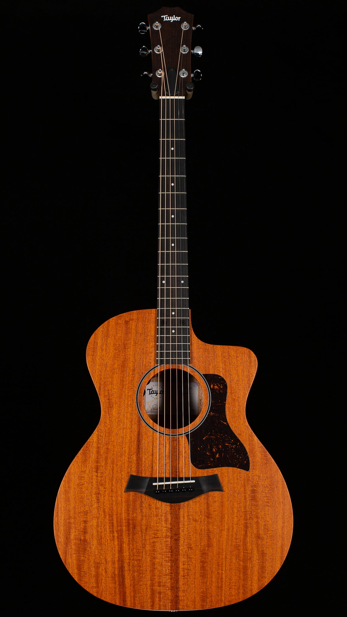 Taylor 24ce Sapele/Mahogany (300)