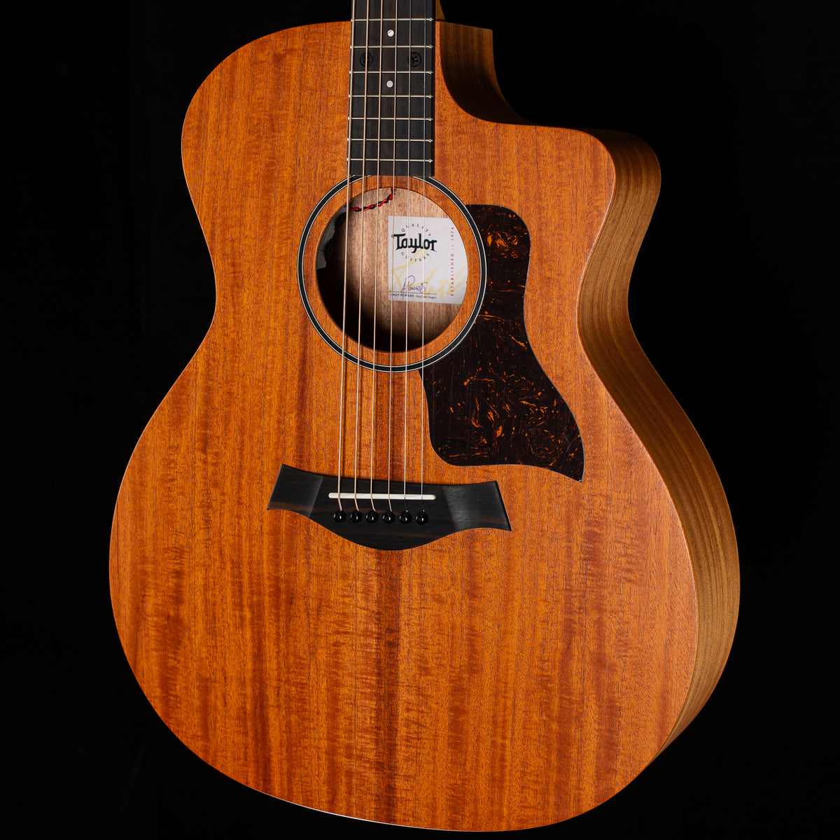 Taylor 24ce Sapele/Mahogany (300)