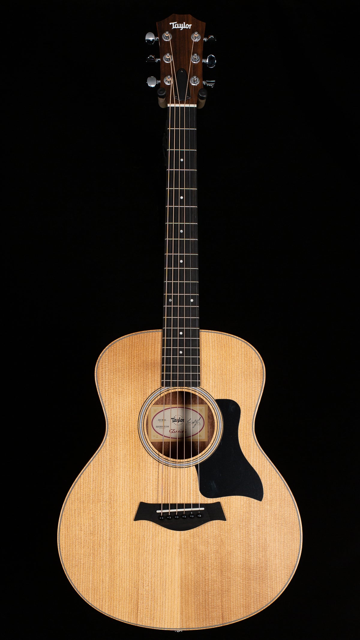 Taylor GS Mini Sapele/Spruce (184)