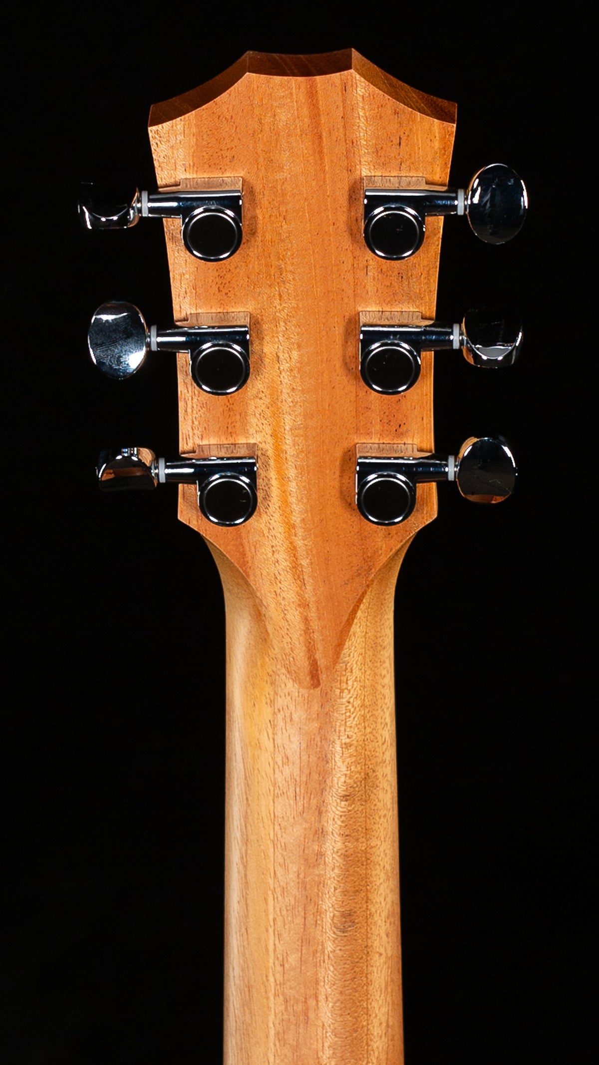 Taylor GS Mini Sapele/Spruce (184)