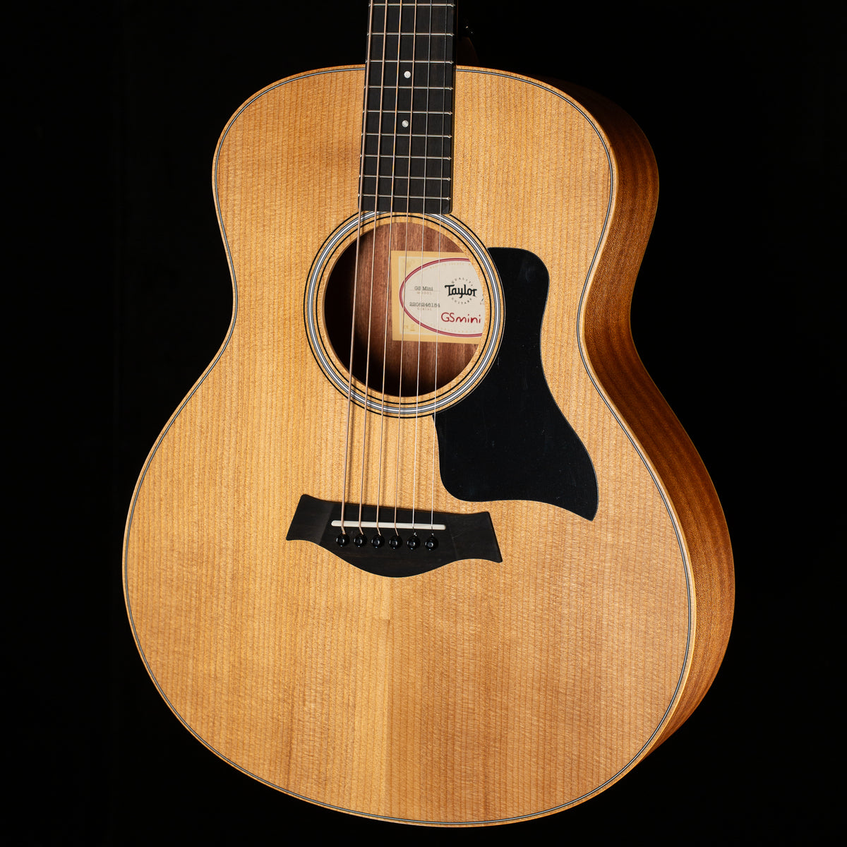 Taylor GS Mini Sapele/Spruce (184)