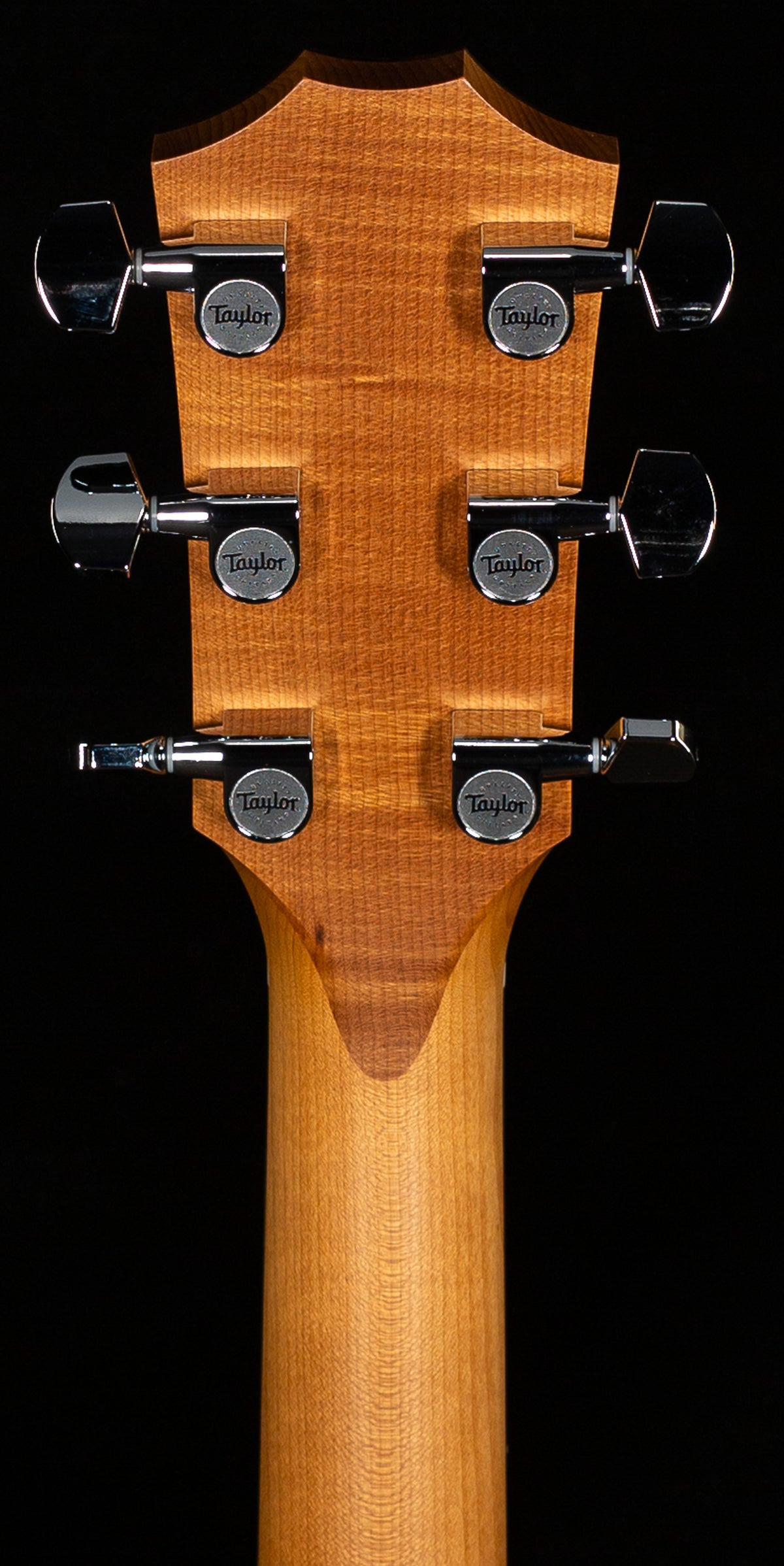 Taylor 114ce-S,Sapele/Sitka (028)