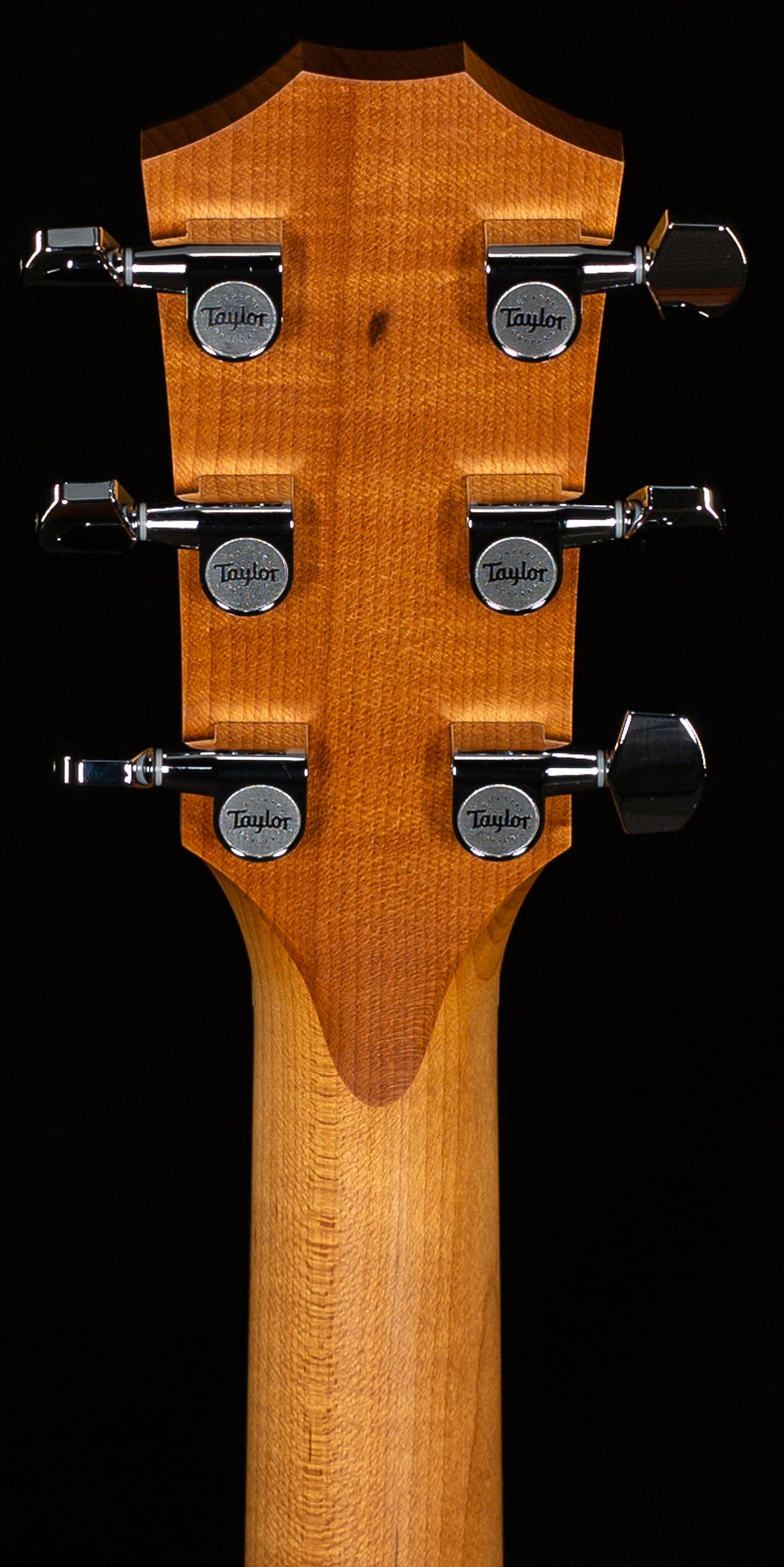 Taylor 110ce-S Sapele/Sitka (002)
