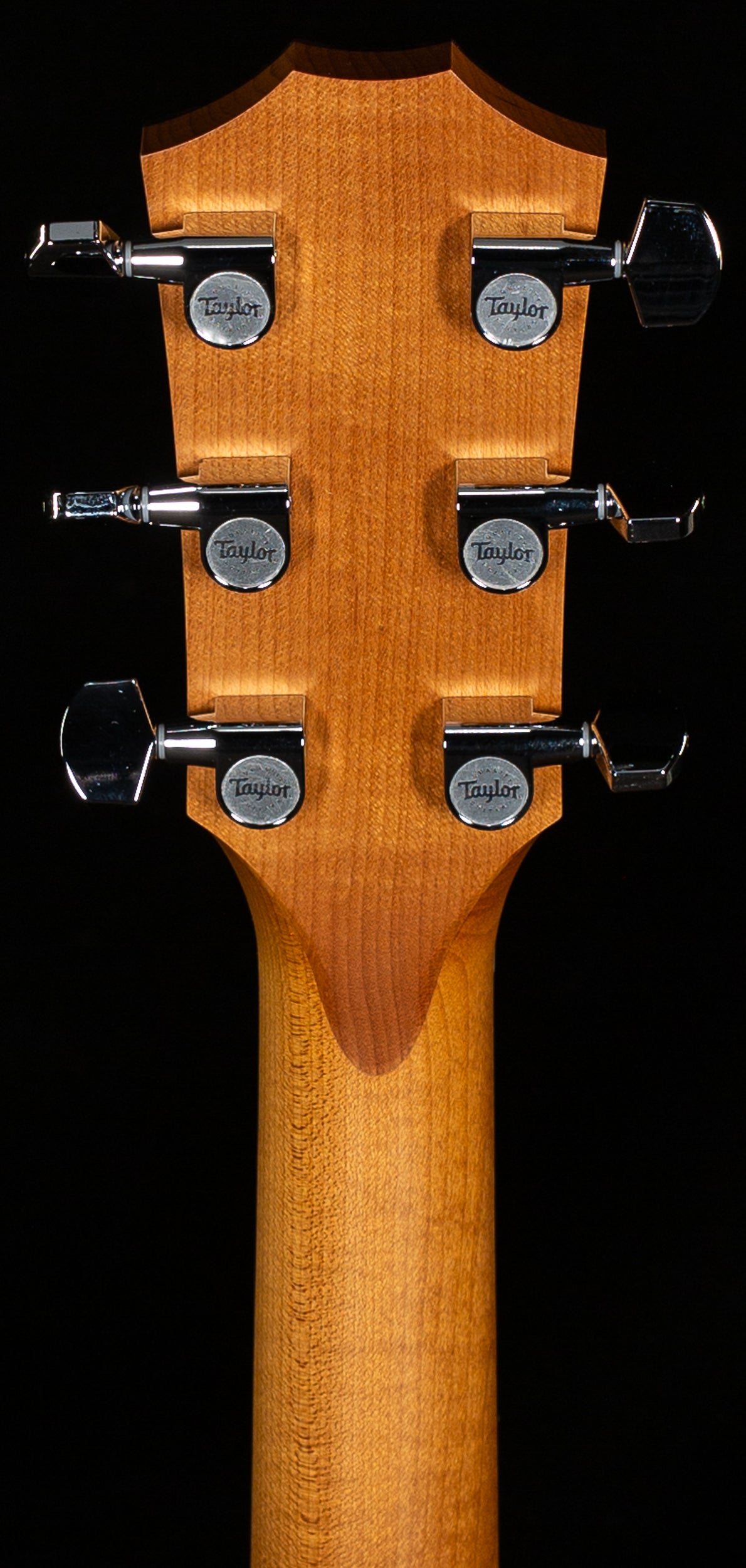 Taylor 112ce-S,Sapele/Sitka (273)