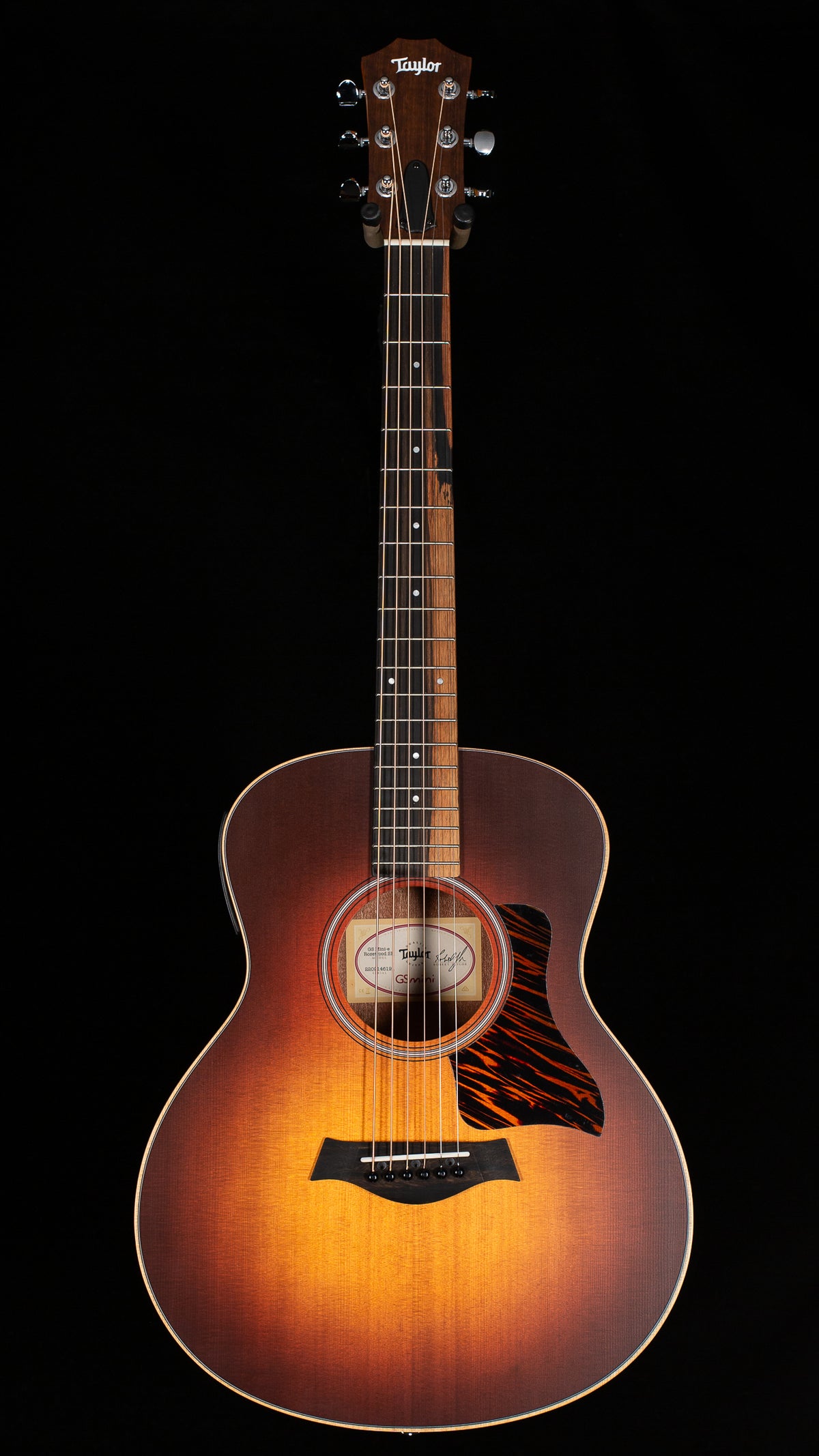 Taylor GS Mini-e Rosewood SB (191)
