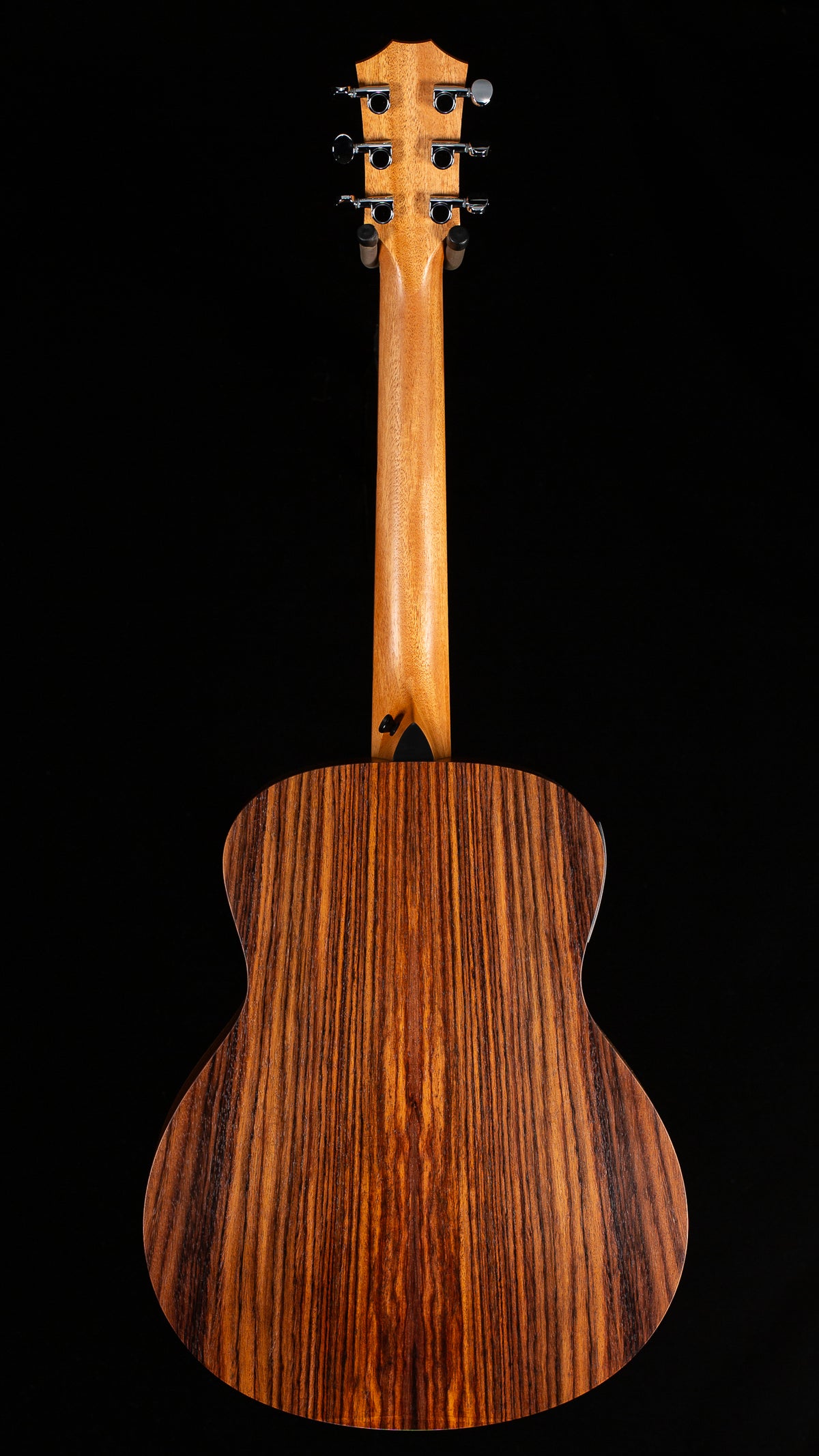 Taylor GS Mini-e Rosewood SB (191)