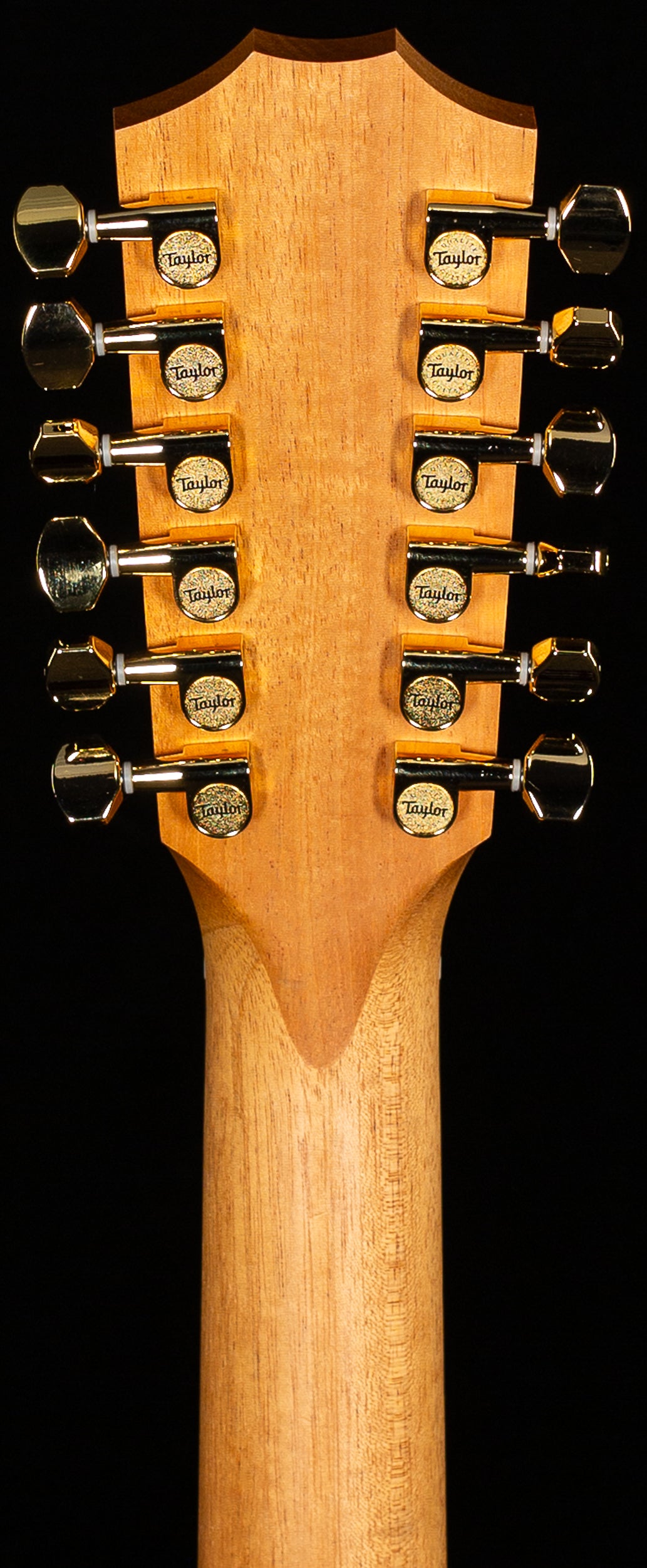 Taylor 264ce-K DLX Koa/Koa (377)