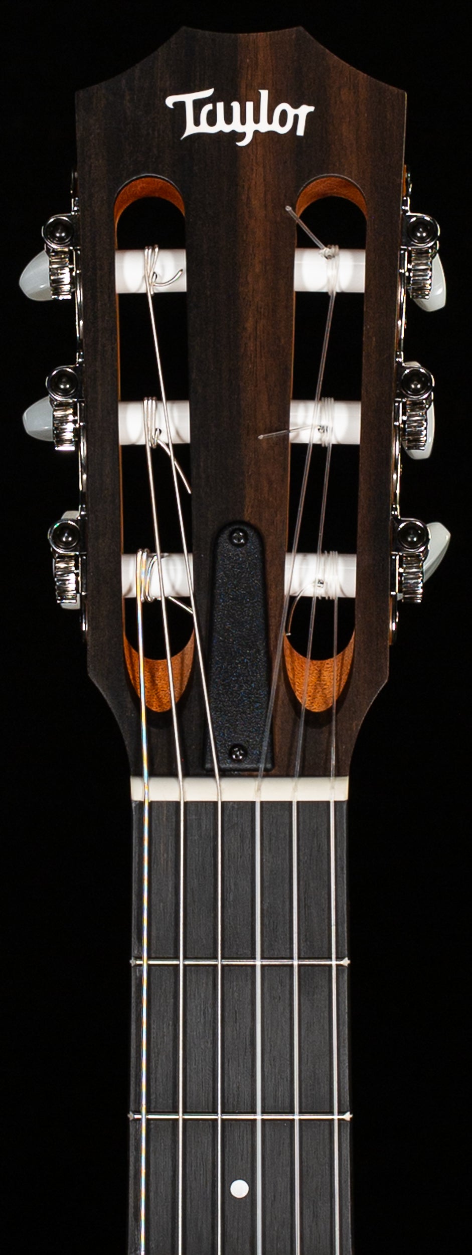 Taylor 212ce-N Plus Rosewood/Spruce (399)