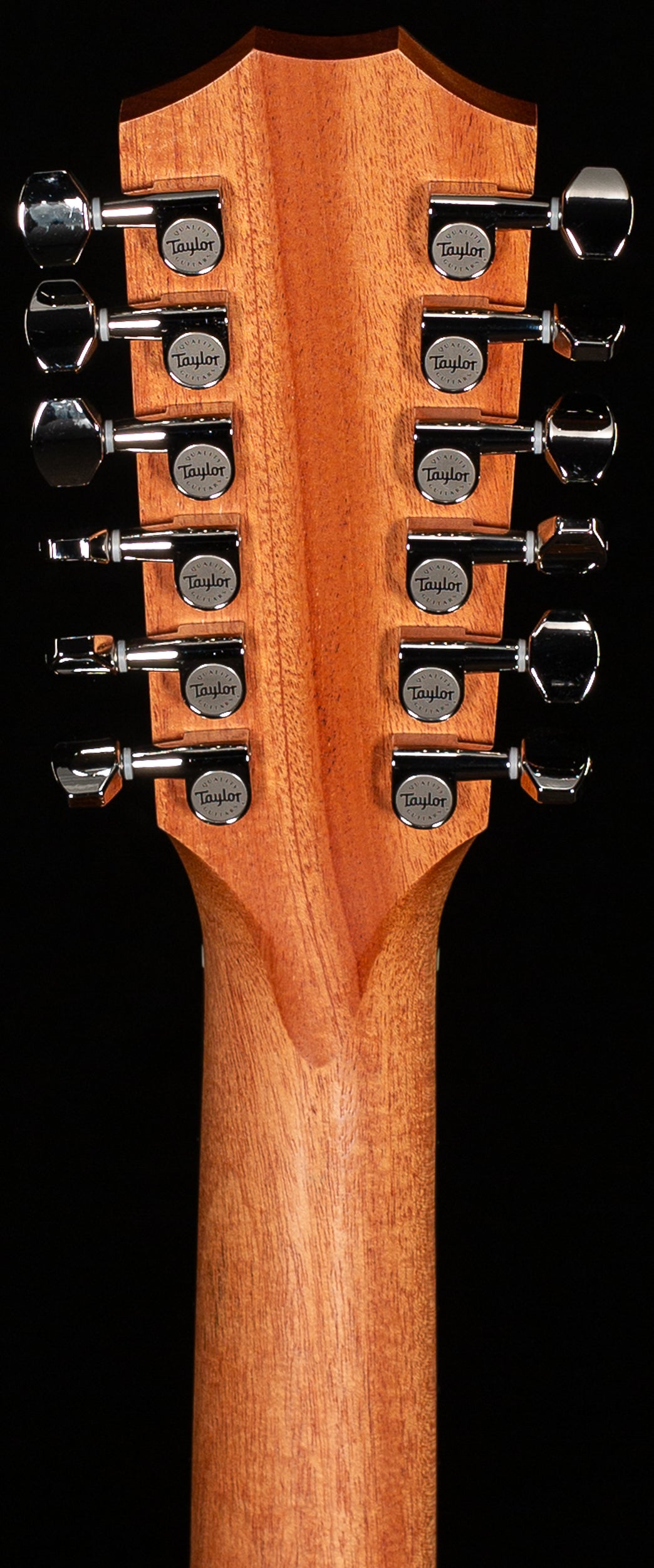 Taylor 254ce Plus Rosewood/Spruce (066)
