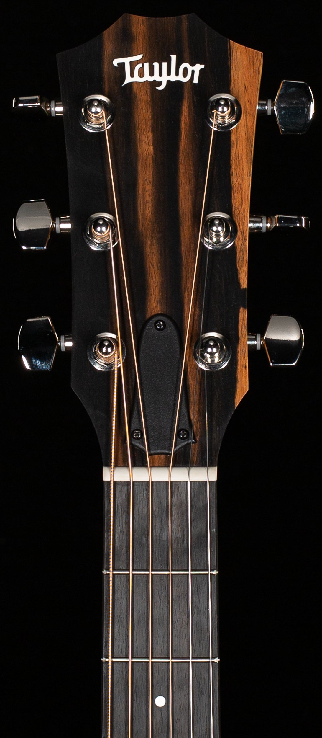 Taylor 212ce Plus Rosewood/Spruce (216)