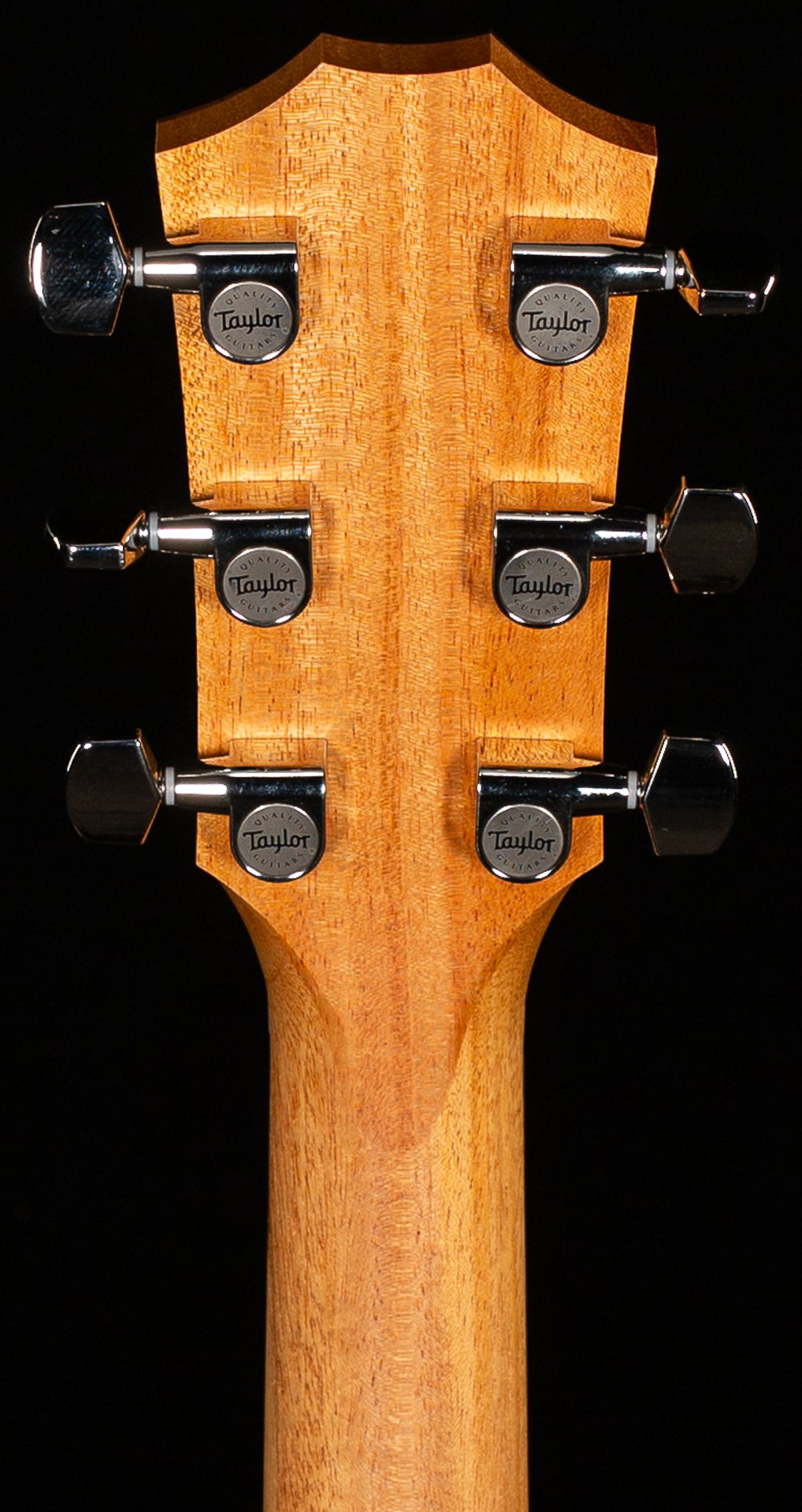 Taylor 212ce Plus Rosewood/Spruce (216)