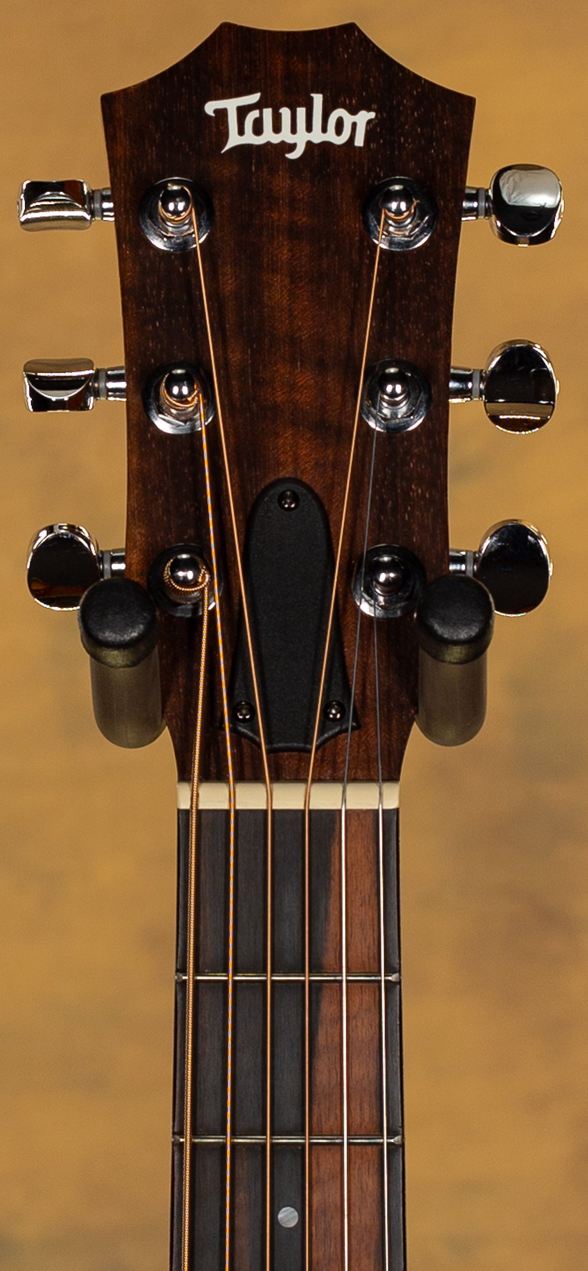 2021 Taylor GS Mini Mahogany