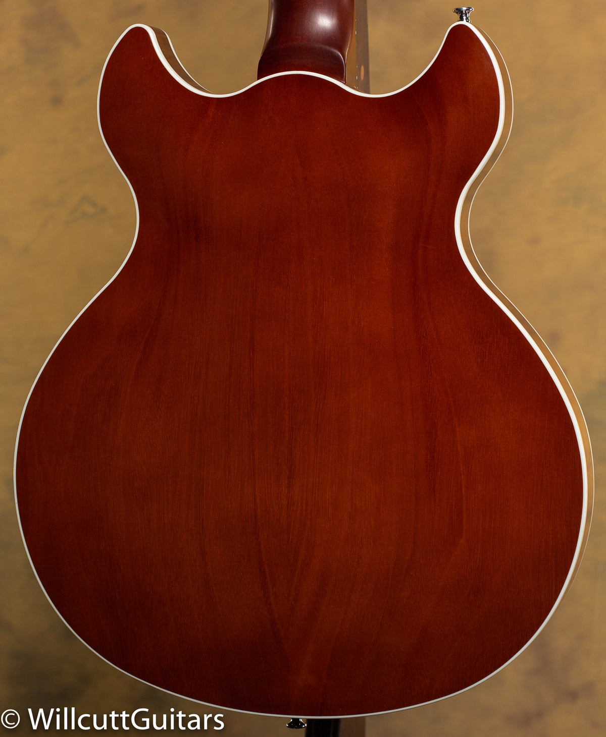 Harmony Comet Sunburst