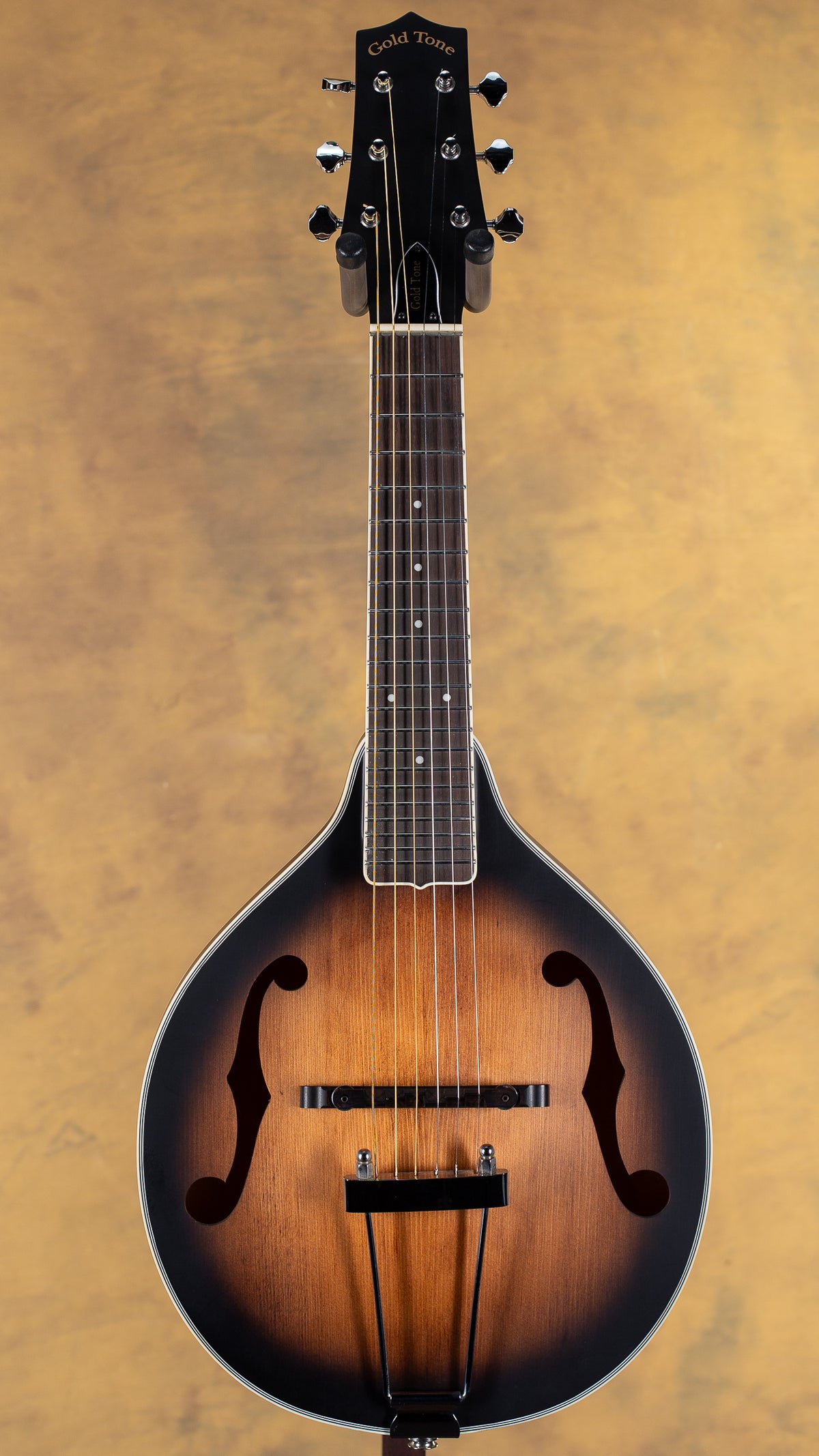 Gold Tone A-6 Mandolin Guitar Manditar