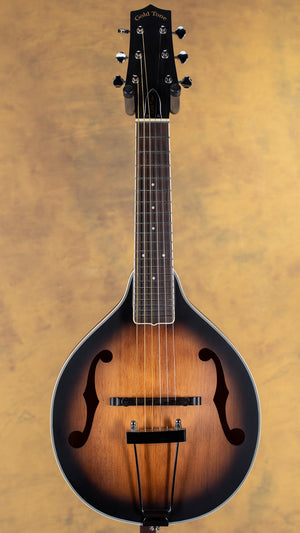 Gold Tone A-6 Mandolin Guitar Manditar