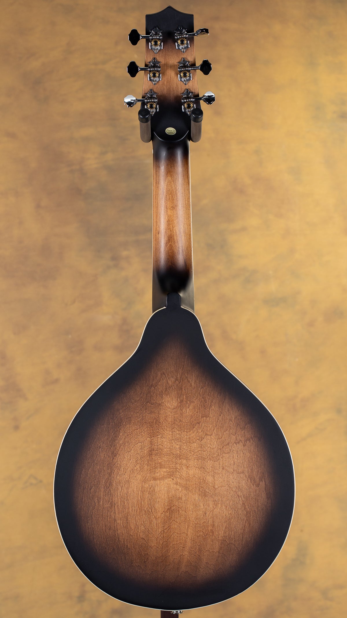 Gold Tone A-6 Mandolin Guitar Manditar