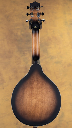 Gold Tone A-6 Mandolin Guitar Manditar