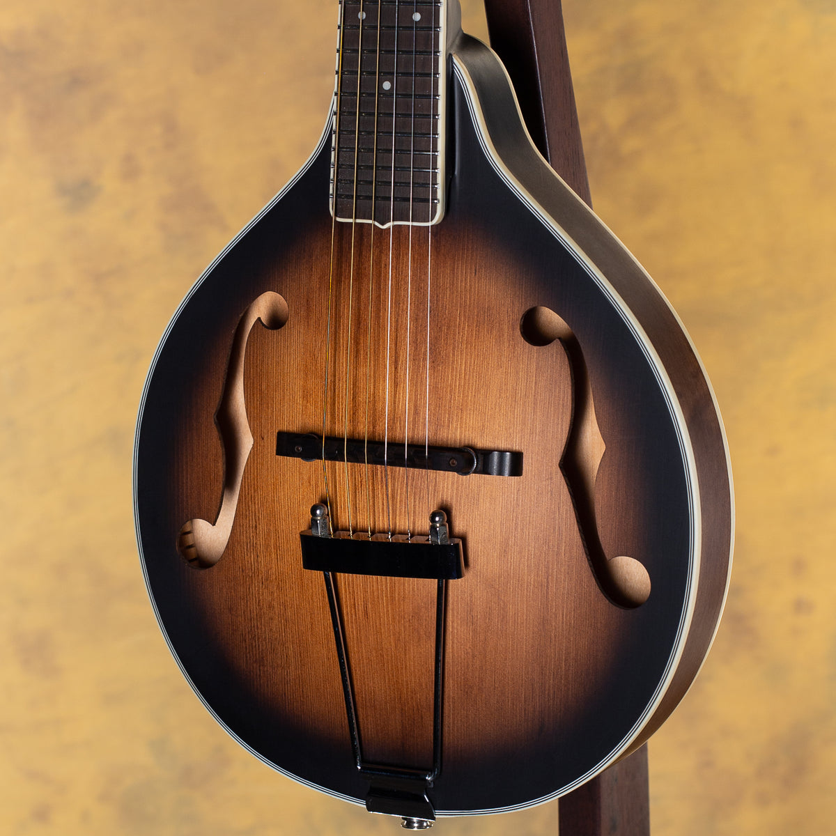 Gold Tone A-6 Mandolin Guitar Manditar