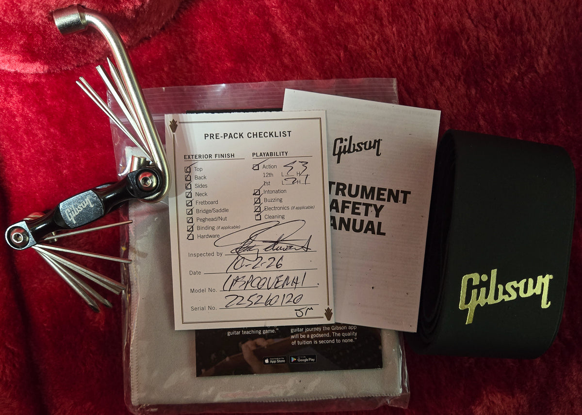 Gibson Les Paul Special Vintage Cherry (120)