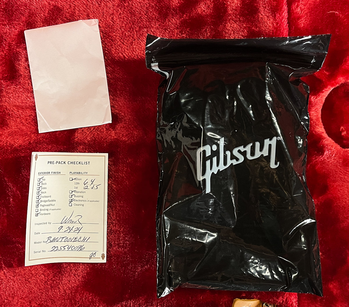 Gibson Non-Reverse Thunderbird Vintage Cherry (096)