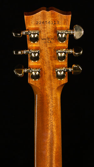 Gibson Hummingbird Standard Rosewood Burst HiFi DNA (113)