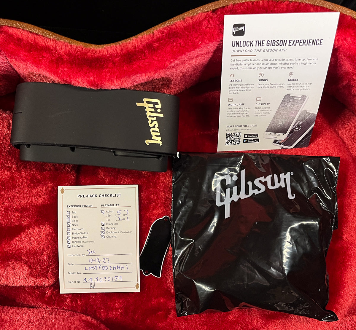 Gibson Les Paul Standard 50s Plain Top Ebony Top (159)