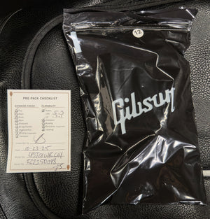 Gibson Les Paul Studio Wine Red (098)