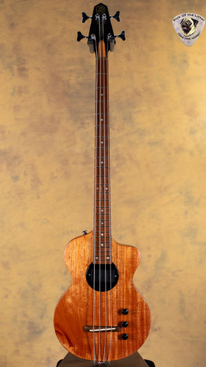 2023 Rick Turner Model 1 Special BP Bass