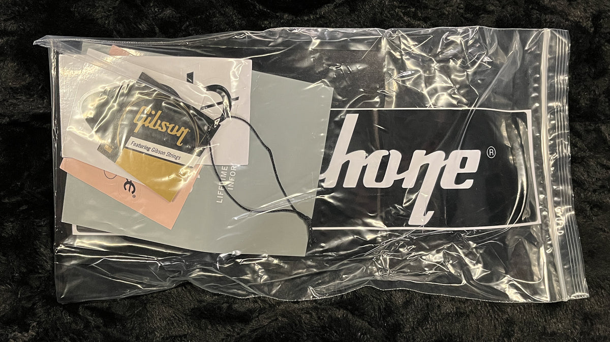 Epiphone Adam Jones Les Paul Custom Art Collection: Ernst Fuchs’ &#39;ANTI- LAOKOON 1965&#39; (389)