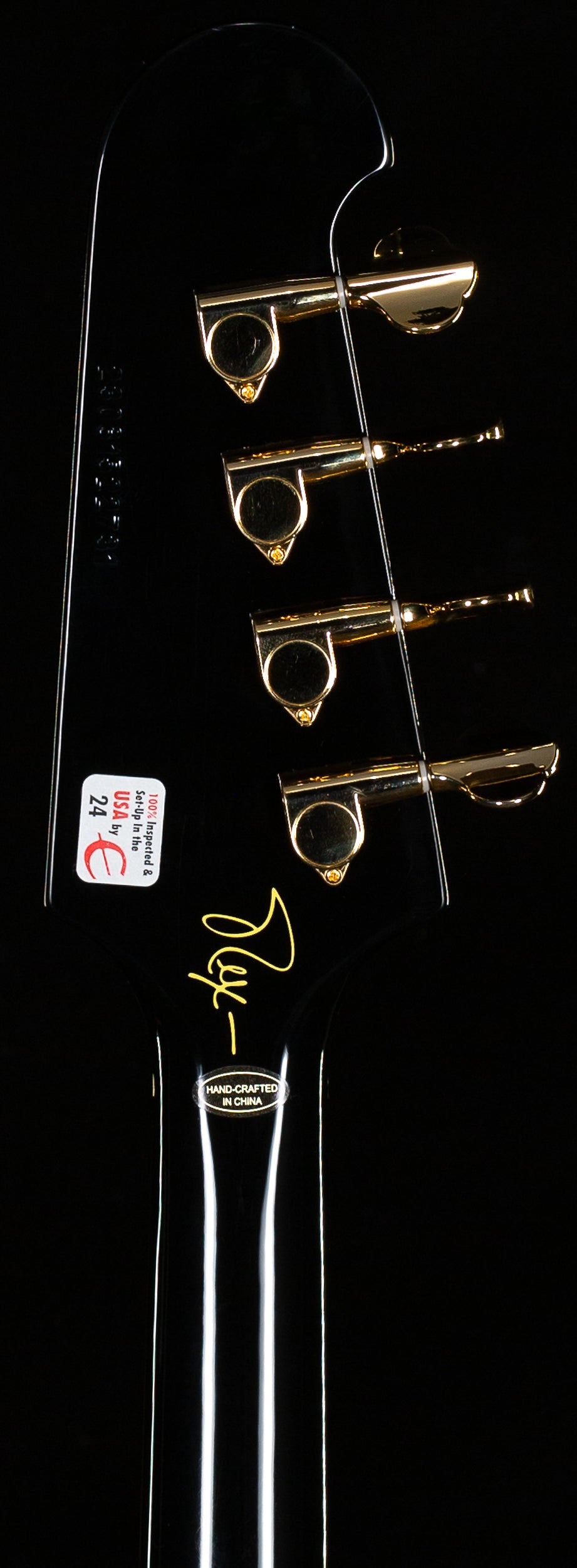 Epiphone Rex Brown Thunderbird Ebony (731)