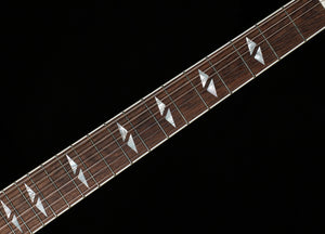 Epiphone Dave Grohl DG-335 Pelham Blue (615)
