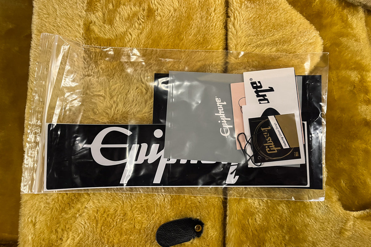 Epiphone 1963 Firebird I Silver Mist (520)