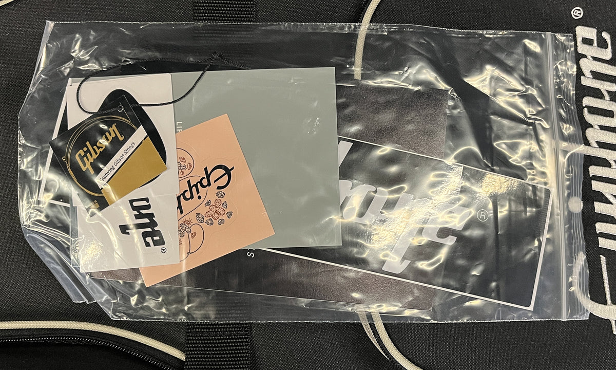 Epiphone Thunderbird &#39;64 Silver Mist (876)