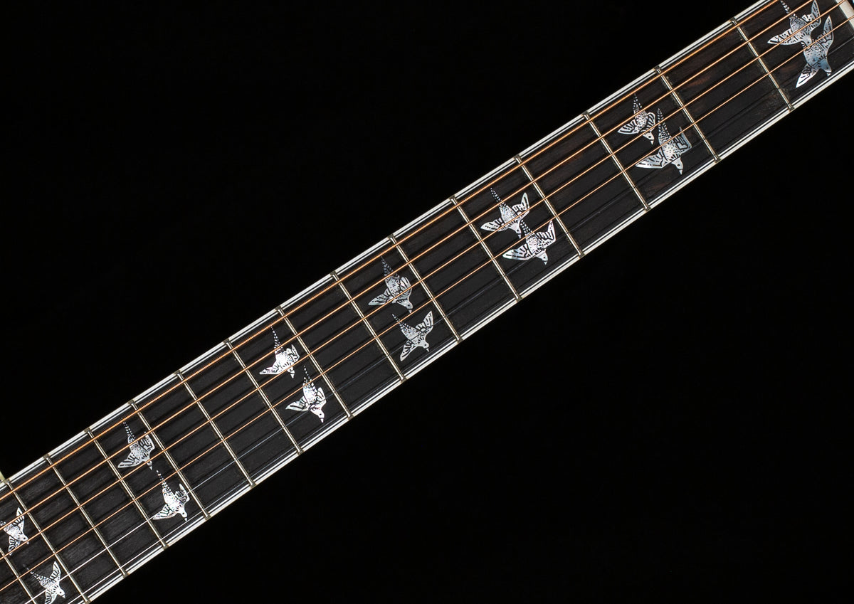 Gibson Doves in Flight Autumnburst (079)
