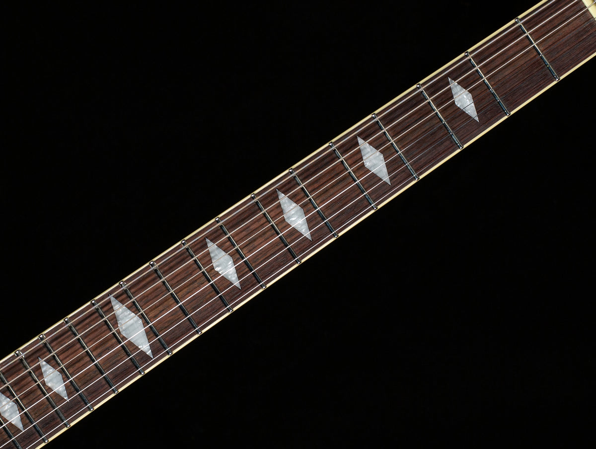 Duesenberg Paloma Catalina Sunset Rose (274)