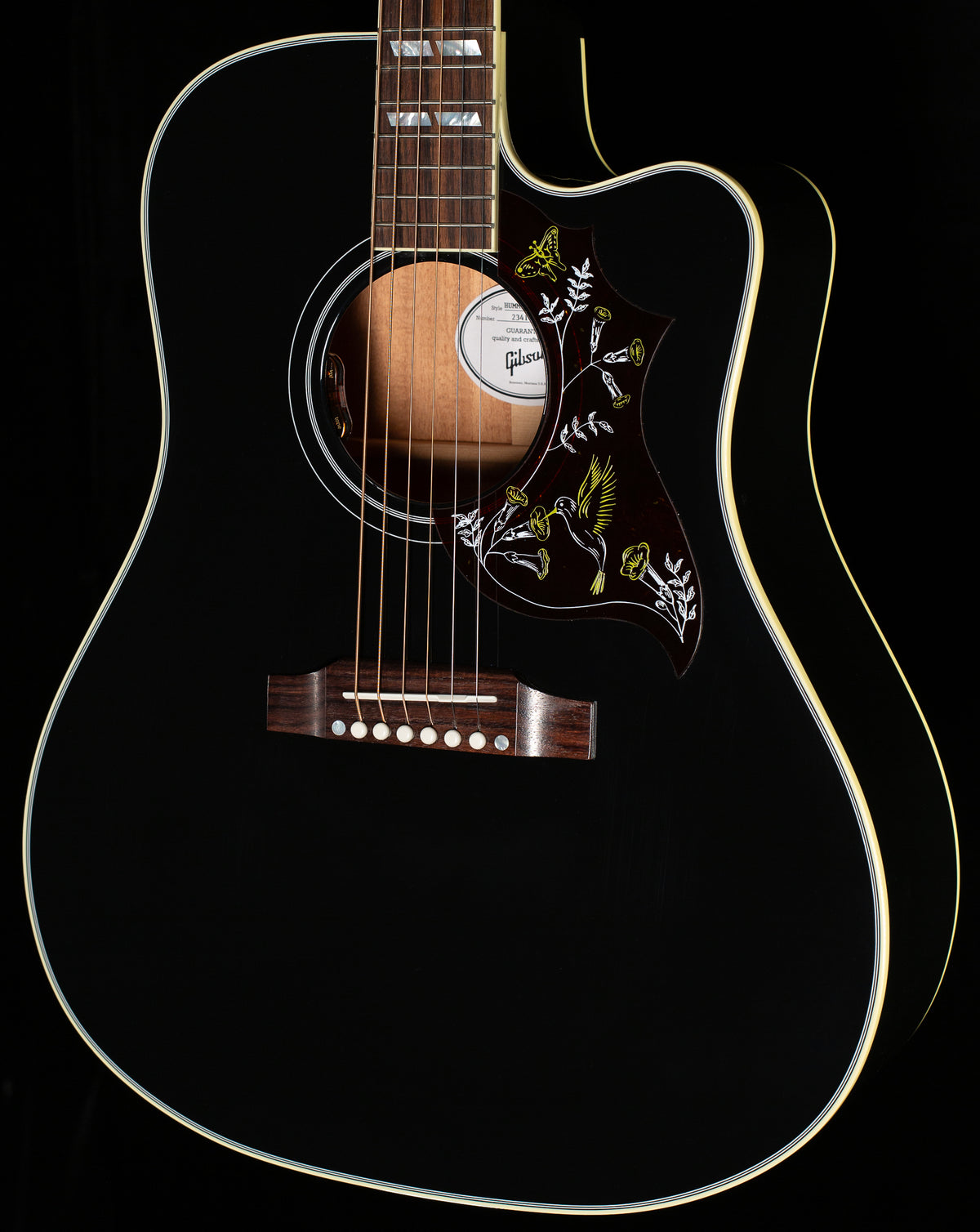 Gibson Hummingbird Standard EC Ebony (072)