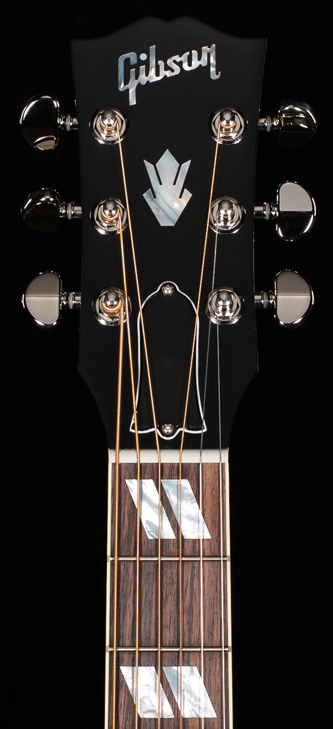 Gibson Hummingbird Standard EC Ebony (072)