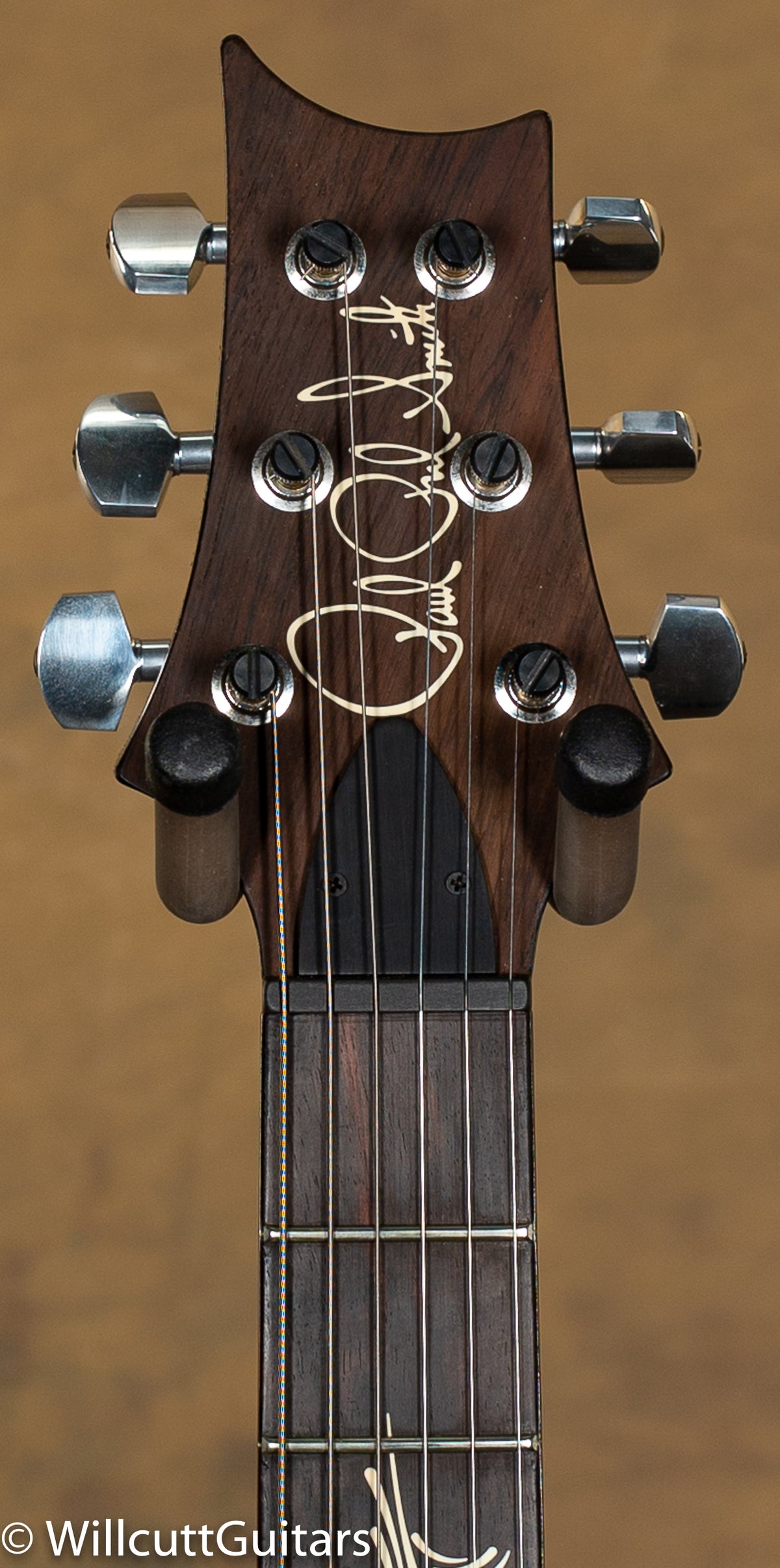 PRS Paul's Guitar Artist Whale Blue