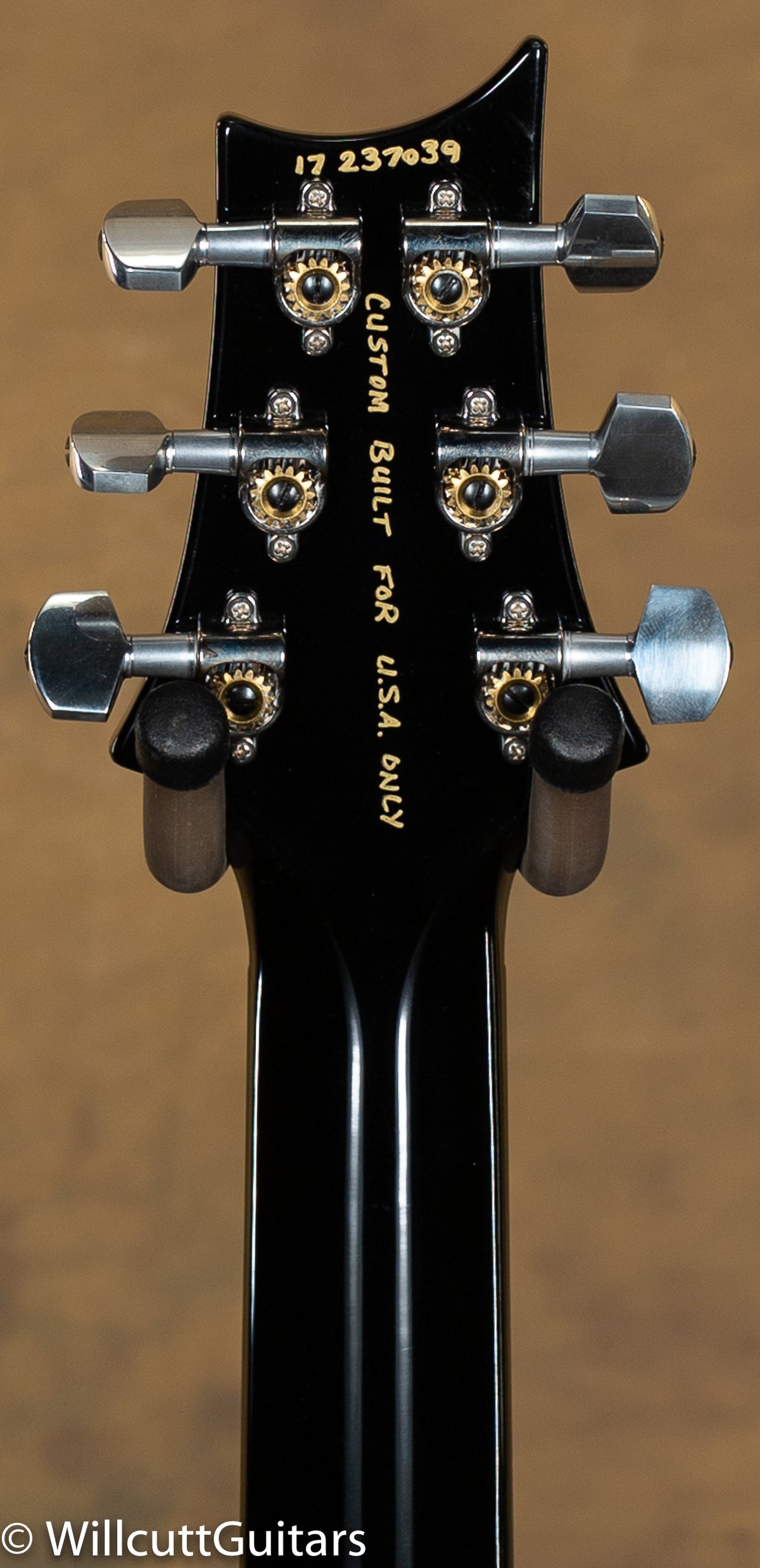 PRS Paul's Guitar Artist Whale Blue