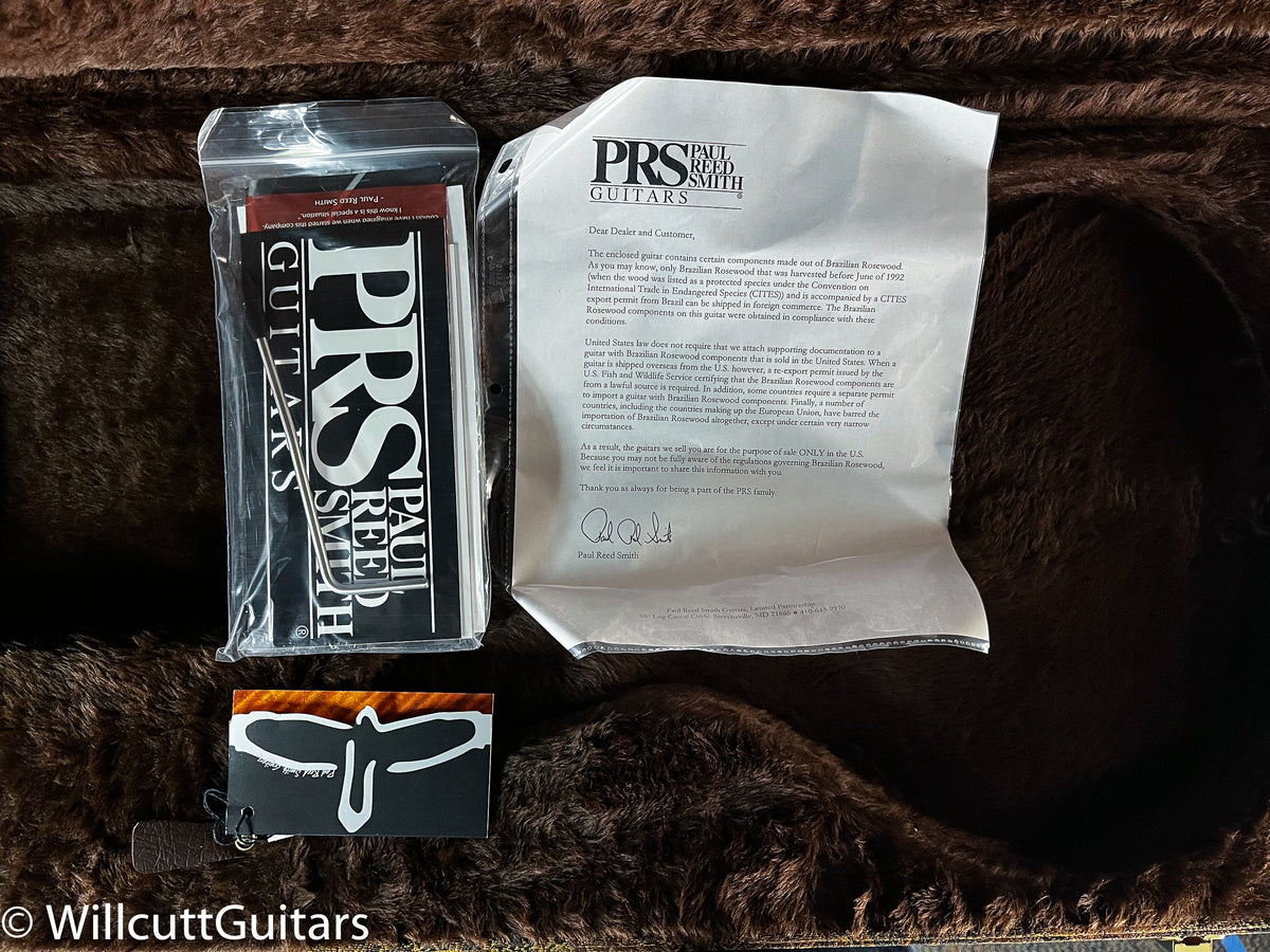 PRS Paul's Guitar Artist Whale Blue
