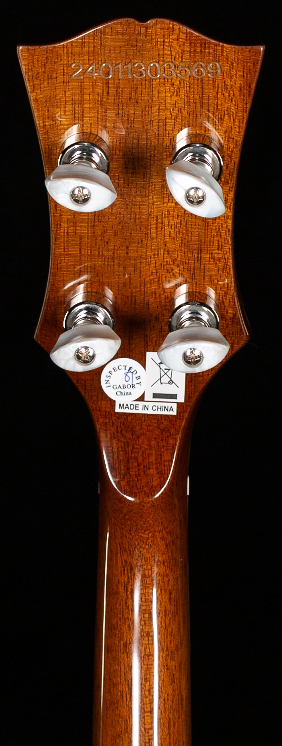 Epiphone Mastertone Bowtie Open Back Banjo (569)