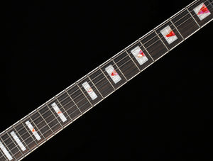 Epiphone Les Paul Prophecy Aged Bengal Tiger Burst (385)