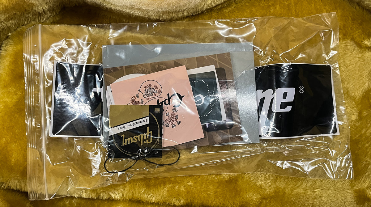 Epiphone Les Paul Custom Ebony (828)