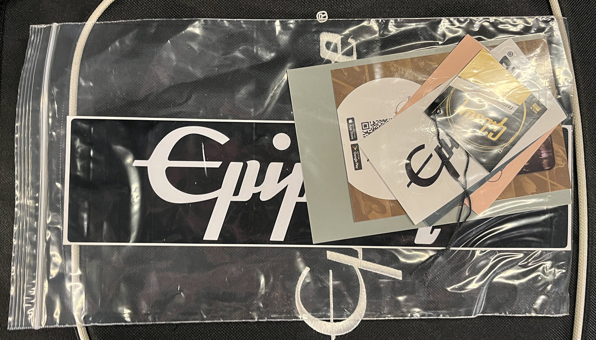 Epiphone SG Standard Silver Mist (584)